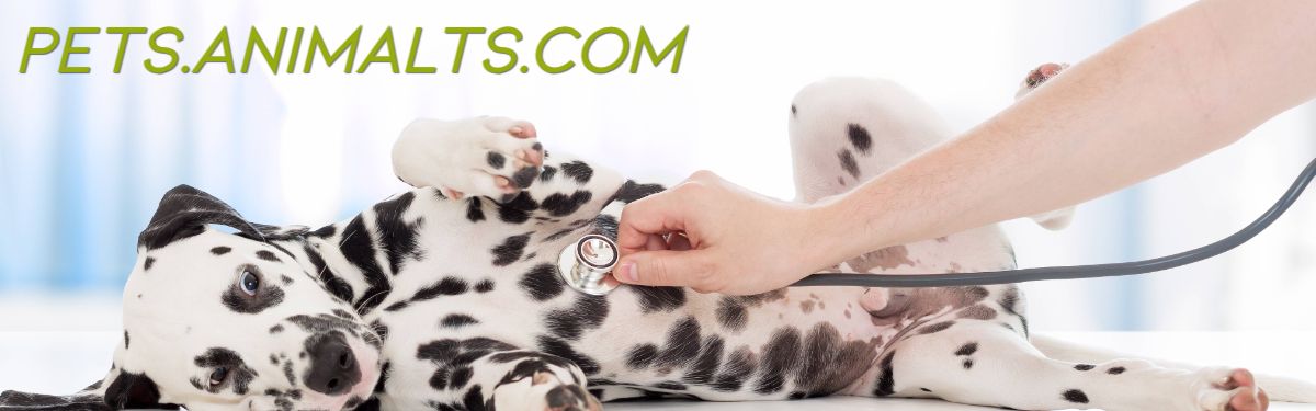 pets.animalts.com